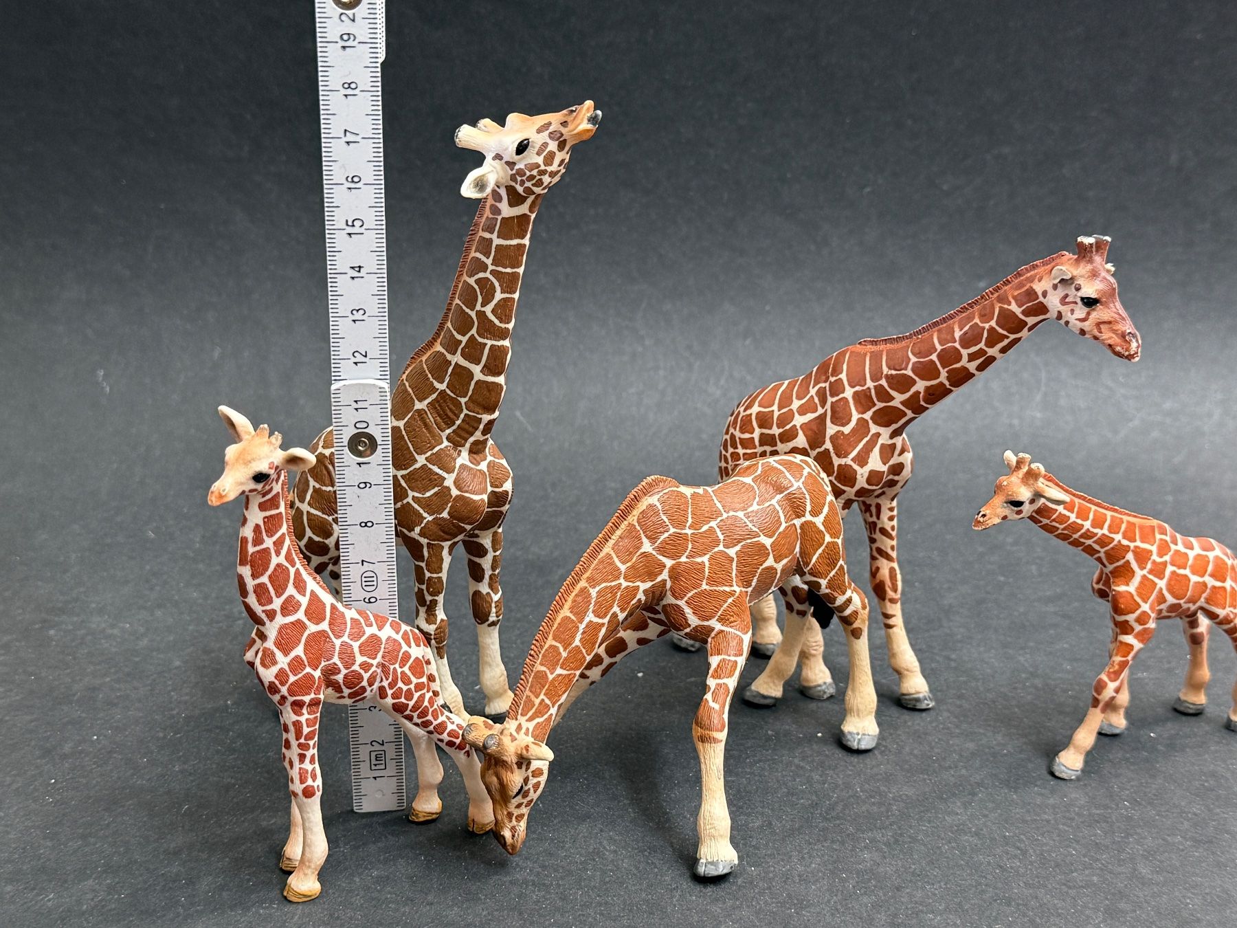 Schleich Statuette: 5 Schleich Giraffen Giraffe Tiere – Usato da Ennetbaden venduto da mapa05 1