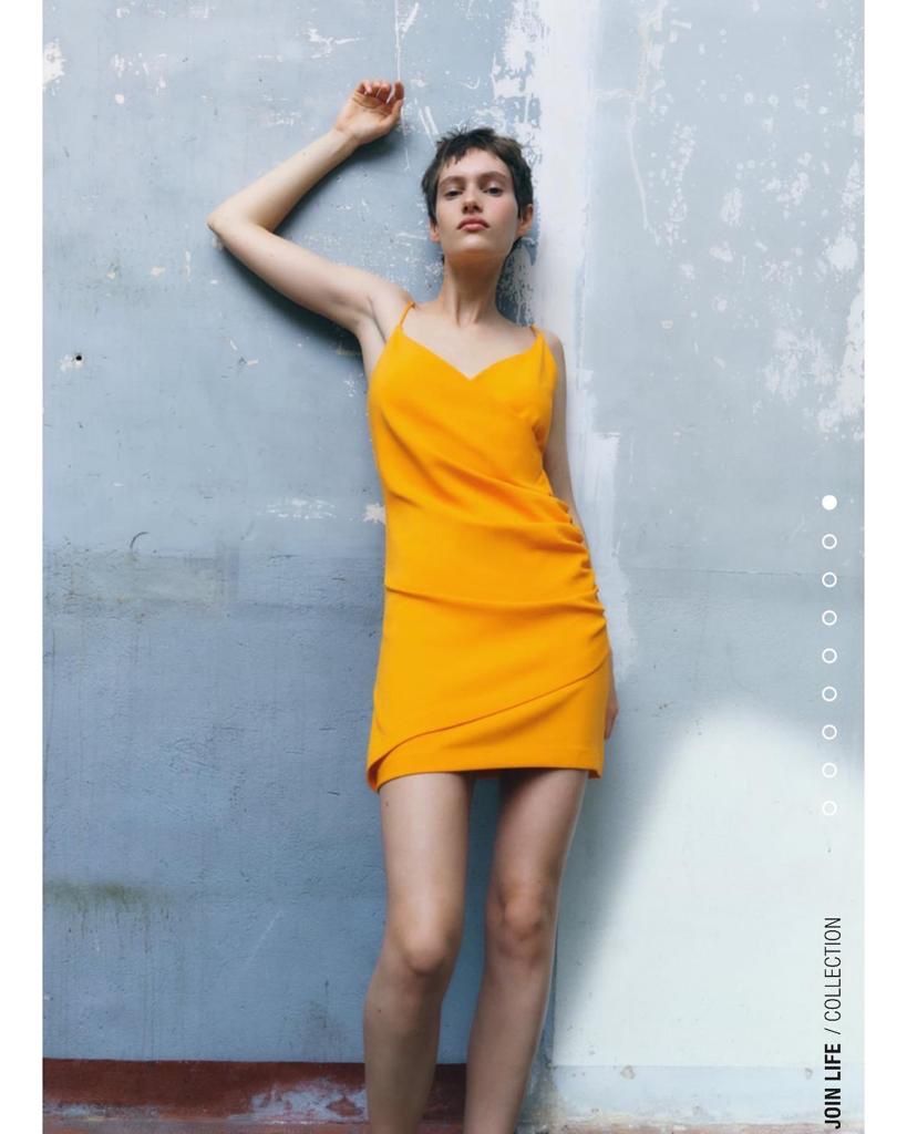 Zara Vestiti: Zara dress – Nuovo e nell'imballaggio originale da Opfikon venduto da ari_7yn2