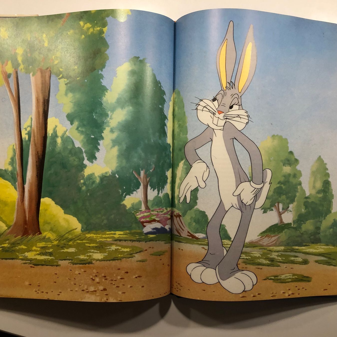 Bücher: That‘s all Folks! - phänomenal !!! – Gebraucht aus Lufingen von Rac0 5