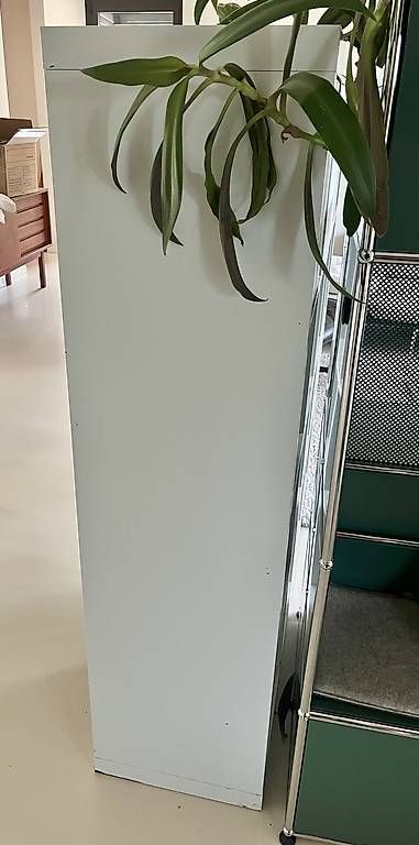 Scaffali: Ikea Expedit Regal – Usato da Basel venduto da Juliiaa 2