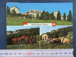 WEISSENSTEIN  KURHAUS HOTEL OBERDORF SO AK KUHHERDE PFERDE