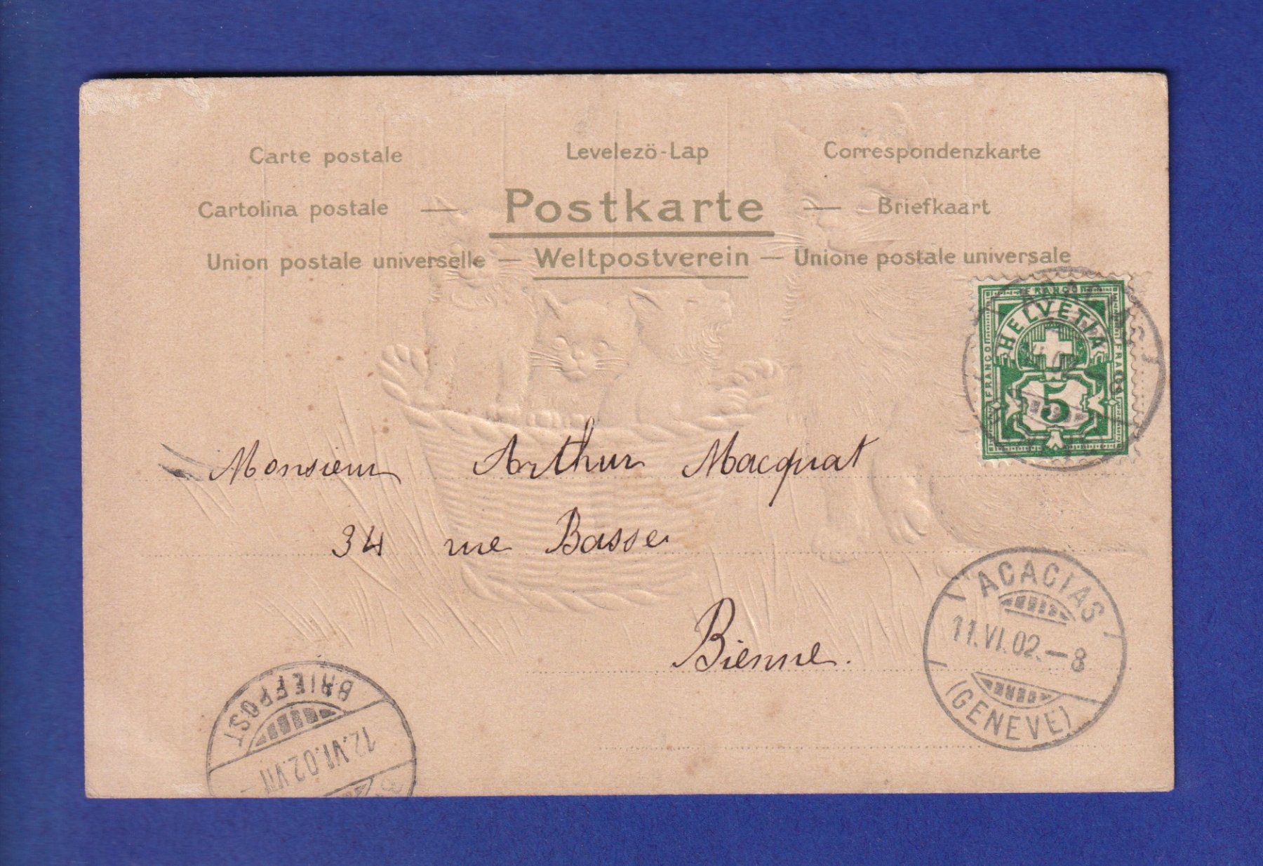 Cartoline postali: CHAT - Maman chat et sa corbeille de chatons – Usato da Pully venduto da nicecards-shop 1