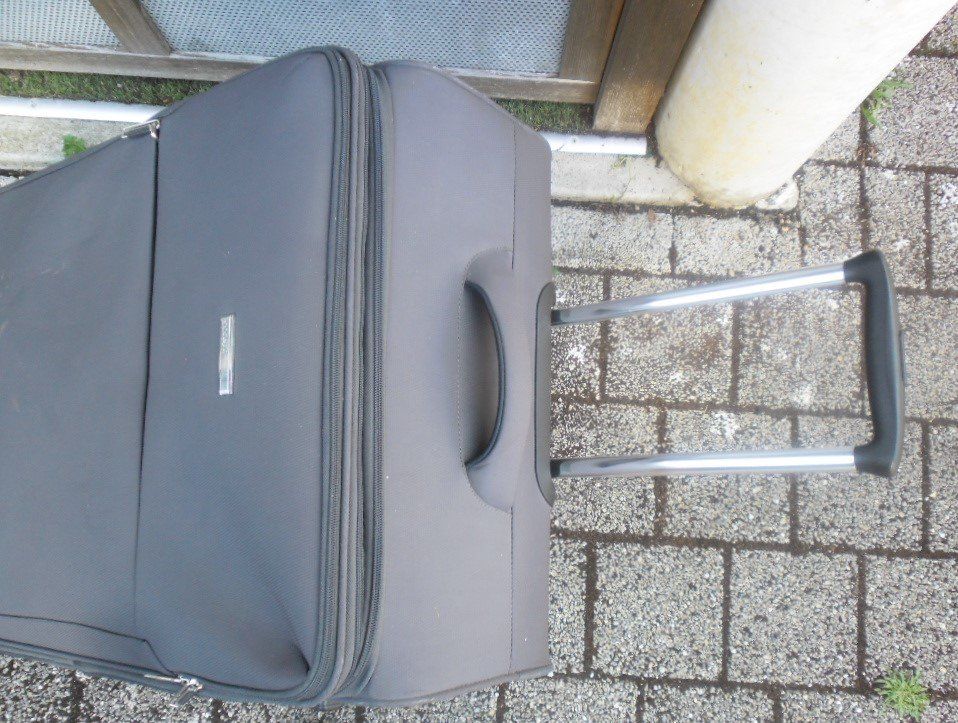 Valigie: Koffer mit Rollen von Cockpit – Usato da Büren SO venduto da omsa 4