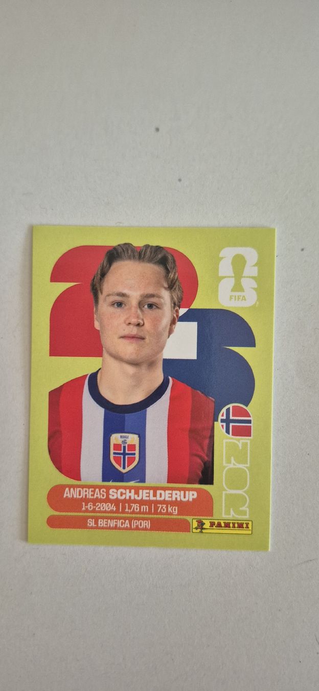 Panini Carte collezionabili: Panini NOR 12 – Nuovo (secondo la descrizione) da Thônex venduto da Sebabastien