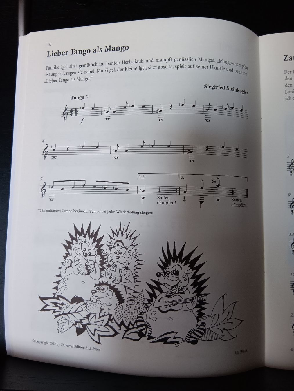 Strumenti musicali: Siegfried Steinkogler - Igel Gigels Gitarrenabenteuer – Nuovo (secondo la descrizione) da Bad Zurzach venduto da BG1 3