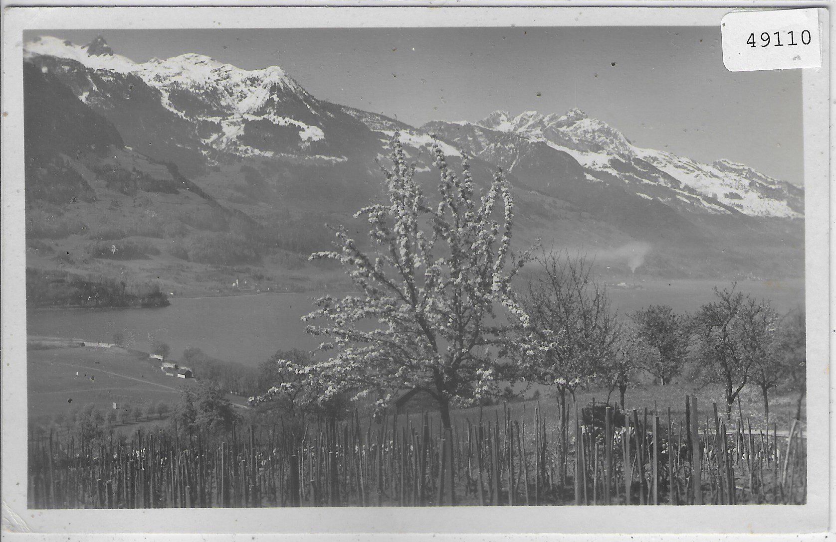 Cartoline postali: Wallensee mit Sexmor & Mürtschen – Usato da Ettingen venduto da Kartenplanet