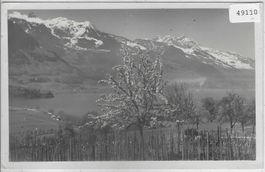 Wallensee mit Sexmor & Mürtschen