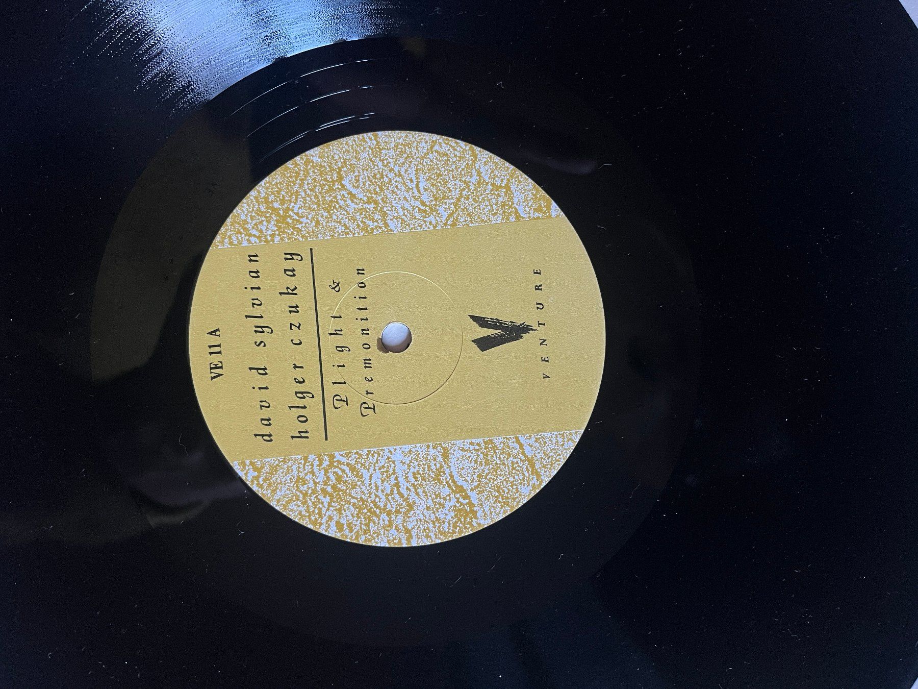 Schallplatten: David Sylvian and holger czukay – Gebraucht aus Zürich von Nieverge1 2