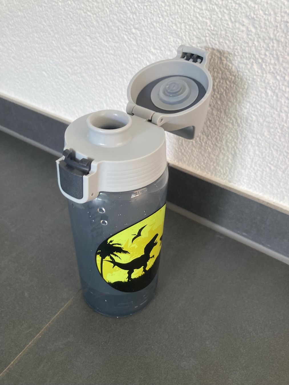 Gourdes & Thermos: Trinkflasche Sigg – Neuf (Voir description) à Bülach par Stellina72 1