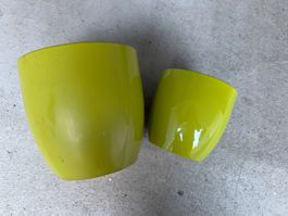 2 pot de fleurs
