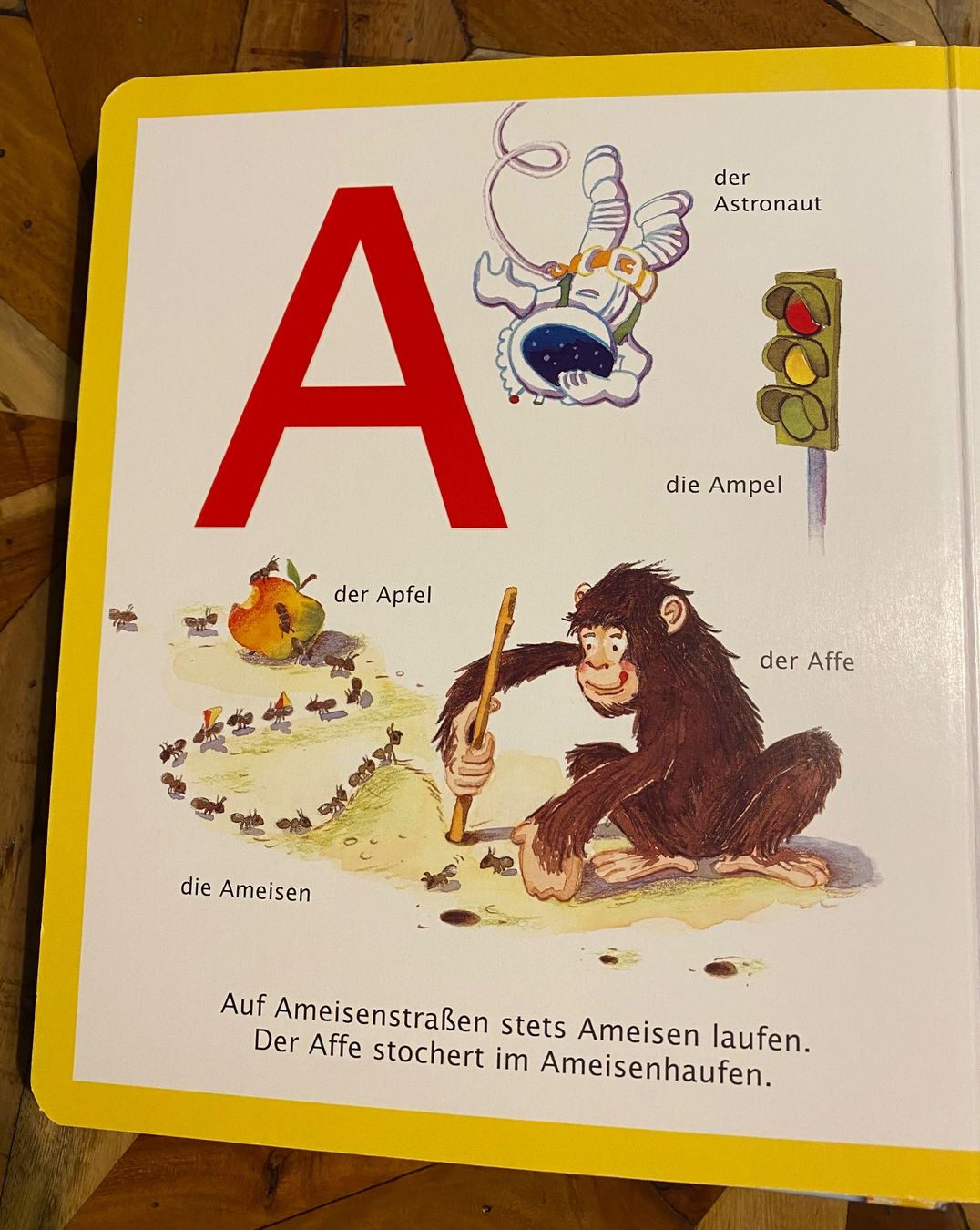 Libri: DUDEN A-Z und 1-10 – Usato da Zürich venduto da AninANILOKIN 1