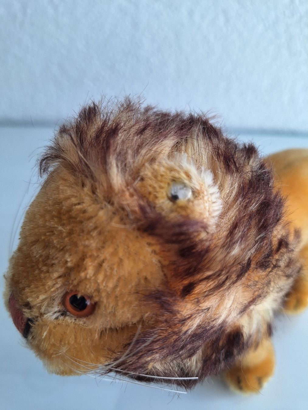 Steiff Giocattoli: Steiff Löwe Leo mit Knopf im Ohr – Usato da Sissach venduto da luvama 1