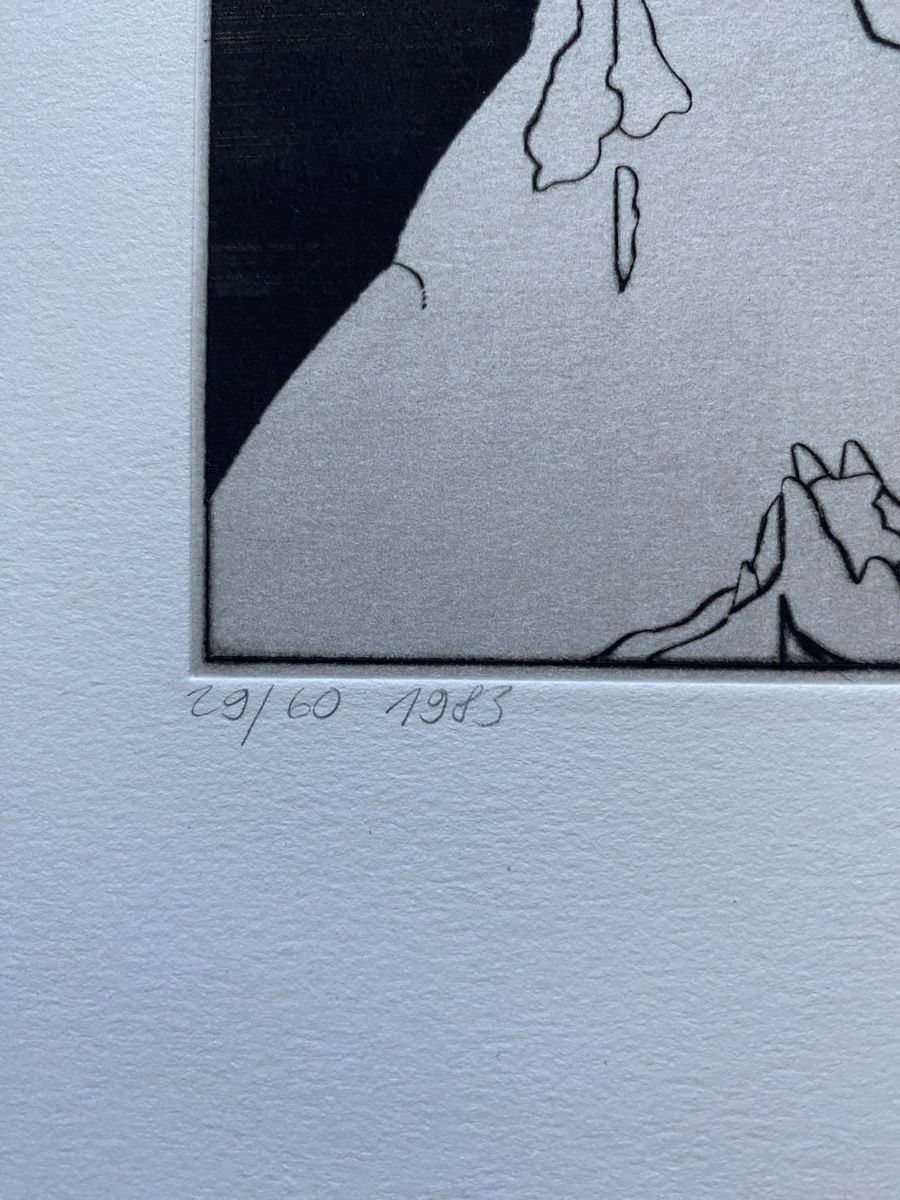 Grafica & Litografie: Daniel de Quervains, "Der Wind persönlich" 29/60 Sign. – Usato da Utzigen venduto da Lasagne99 5