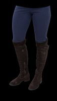 Overknee Stiefel Gr. 38
