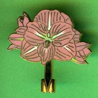 Migros  Frischland Blumen