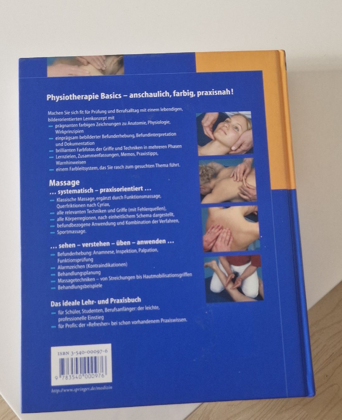 Libri: Massage Bernard C. Kolster Physiotherapie Basics Buch – Usato da Dällikon venduto da san_qgb 1