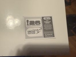 Panini FWC13