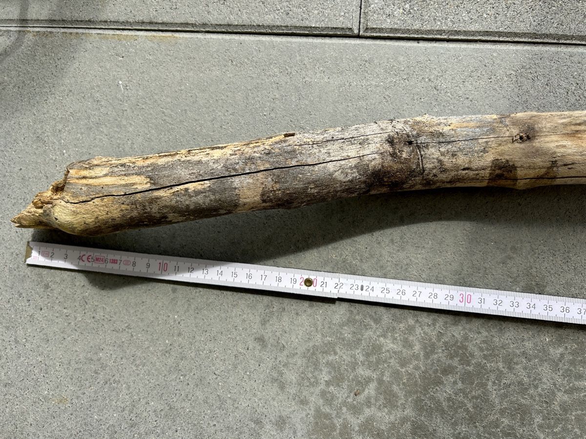 Articoli in legno: Schwemmholz Ast 104 cm lang  – Nuovo (secondo la descrizione) da St. Urban venduto da uschi73 2