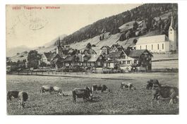 Wildhaus (SG) Toggenburg - Dorfpartie - beide Kirchen - 1910