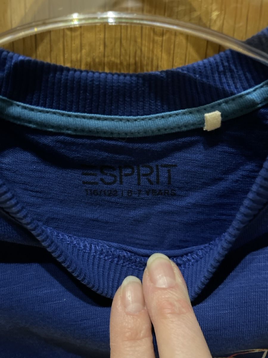 Esprit Camicie, T-shirt & Polo: Esprit Langarmshirt – Usato da Oberrieden venduto da Boccia1981 3
