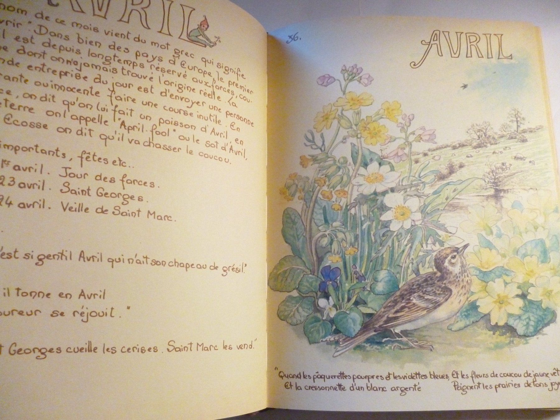 Libri: Journal Champêtre d'Edith Holden – Usato da Montreux venduto da dodeskaden 4