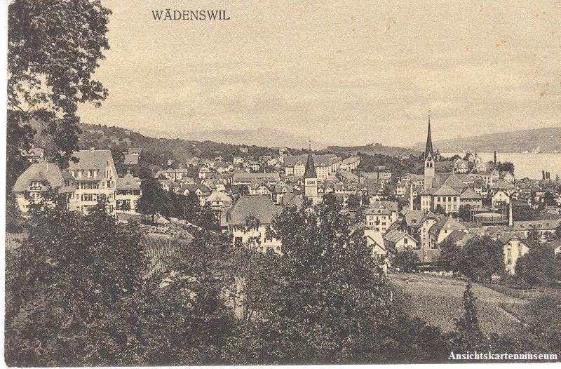 Cartoline postali: Wädenswil + 1914 – Usato da Emmenbrücke venduto da teestube