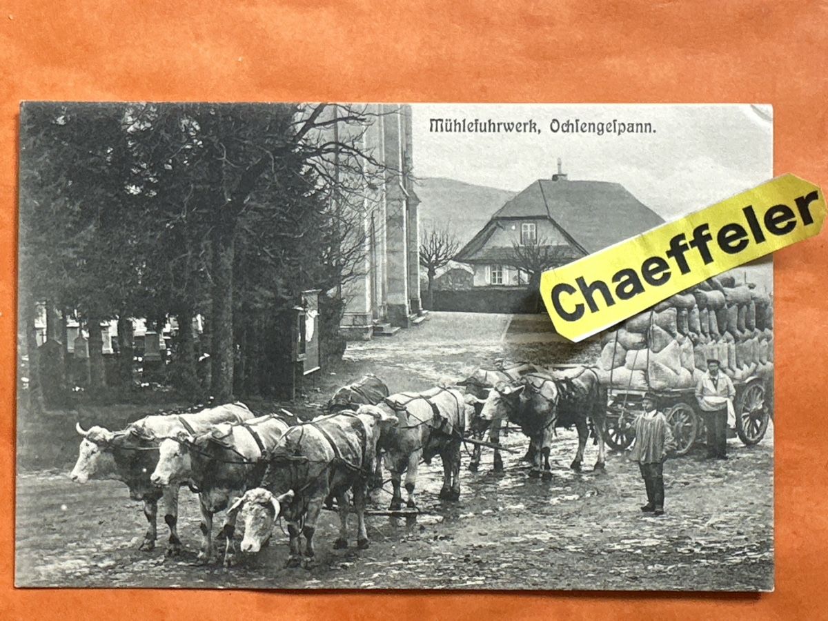 Ansichtskarten: Alte Ansichtskarte Mühlefuhrwerk, Ochsengespann – Gebraucht aus Zürich von Chaeffeler