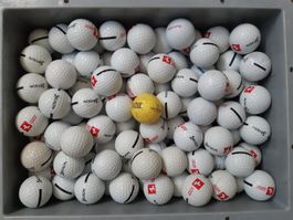 Palline golf/Golfbäll