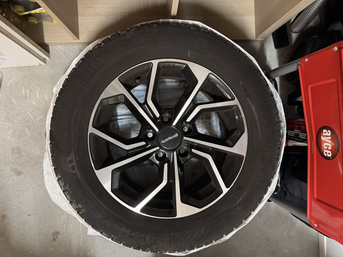 Gamaparts Pneumatici & Ruote complete: Audi Q2 16 Zoll Winterkompletträder – Usato da Solothurn venduto da flo_27sl 3