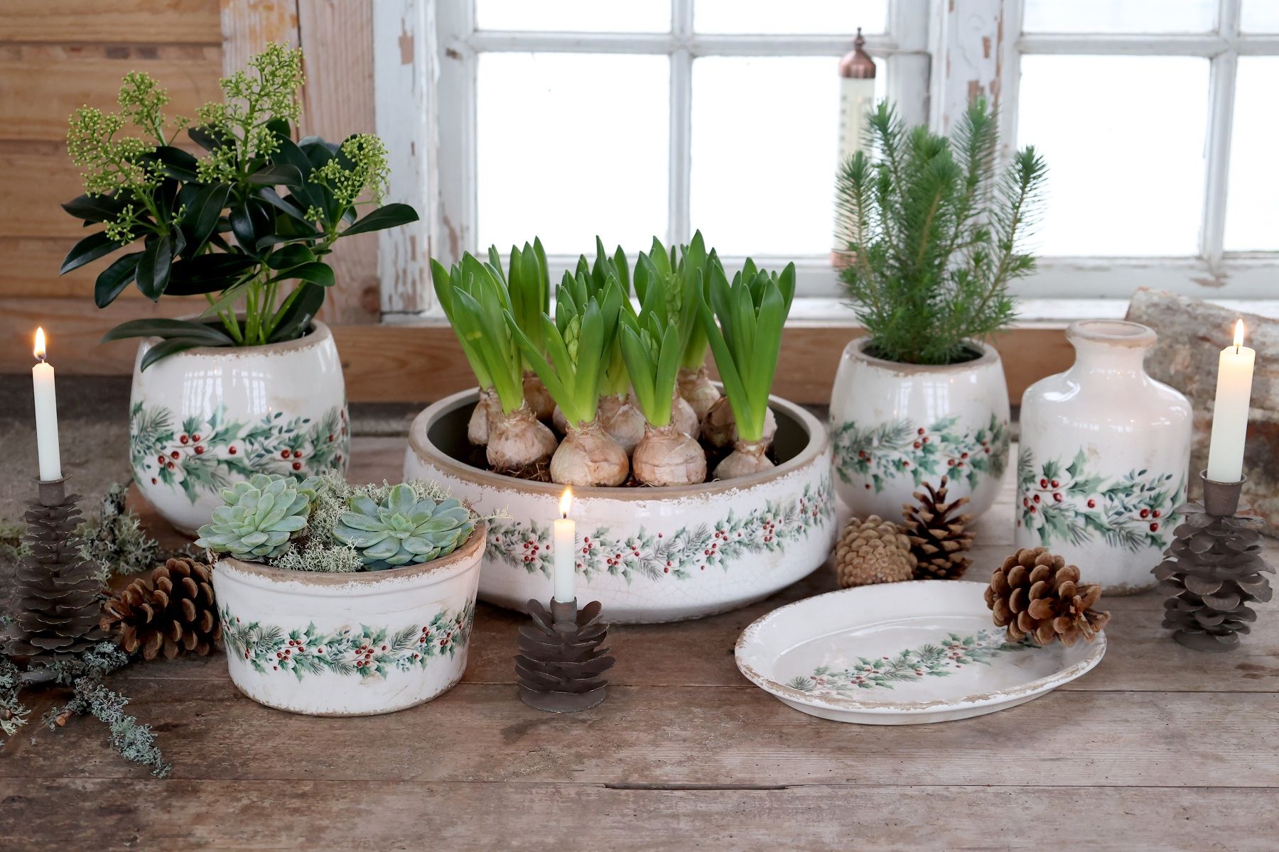 Blumentöpfe: Chic Antique Übertopf mit Stechpalme – Neu und originalverpackt aus Innertkirchen von Glatthard-Interior 2