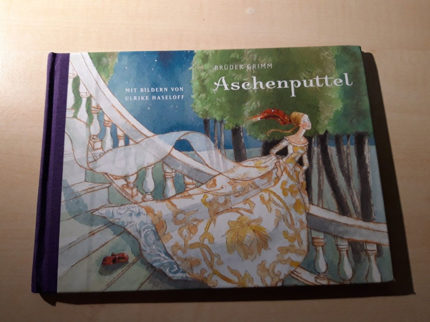 Libri: Aschenputtel – Usato da Egliswil venduto da Cracky81