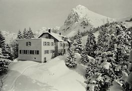 MOLLIS Naturfreundehaus Fronalp