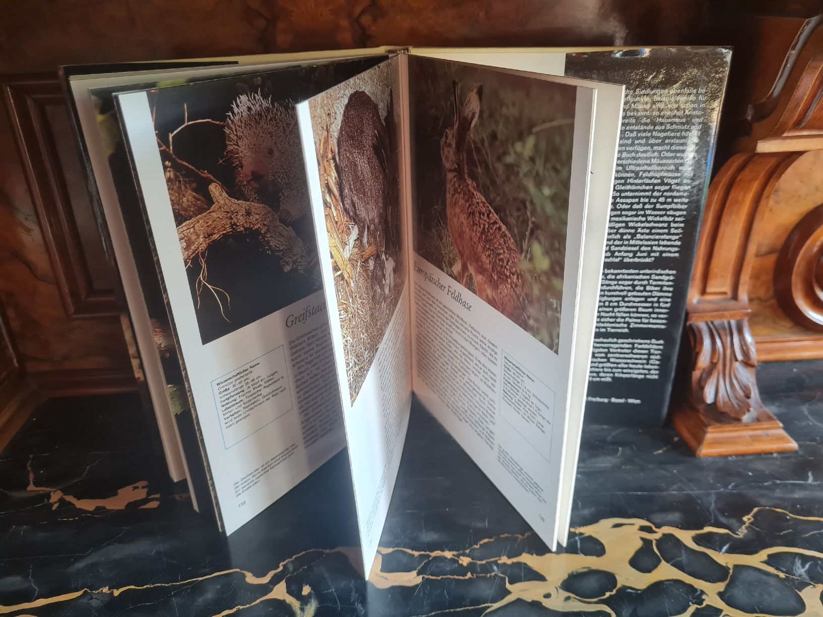 Libri: Die Welt der Tiere 4 Bände Herder Tierbücher – Usato da Bäretswil venduto da Rio. 9
