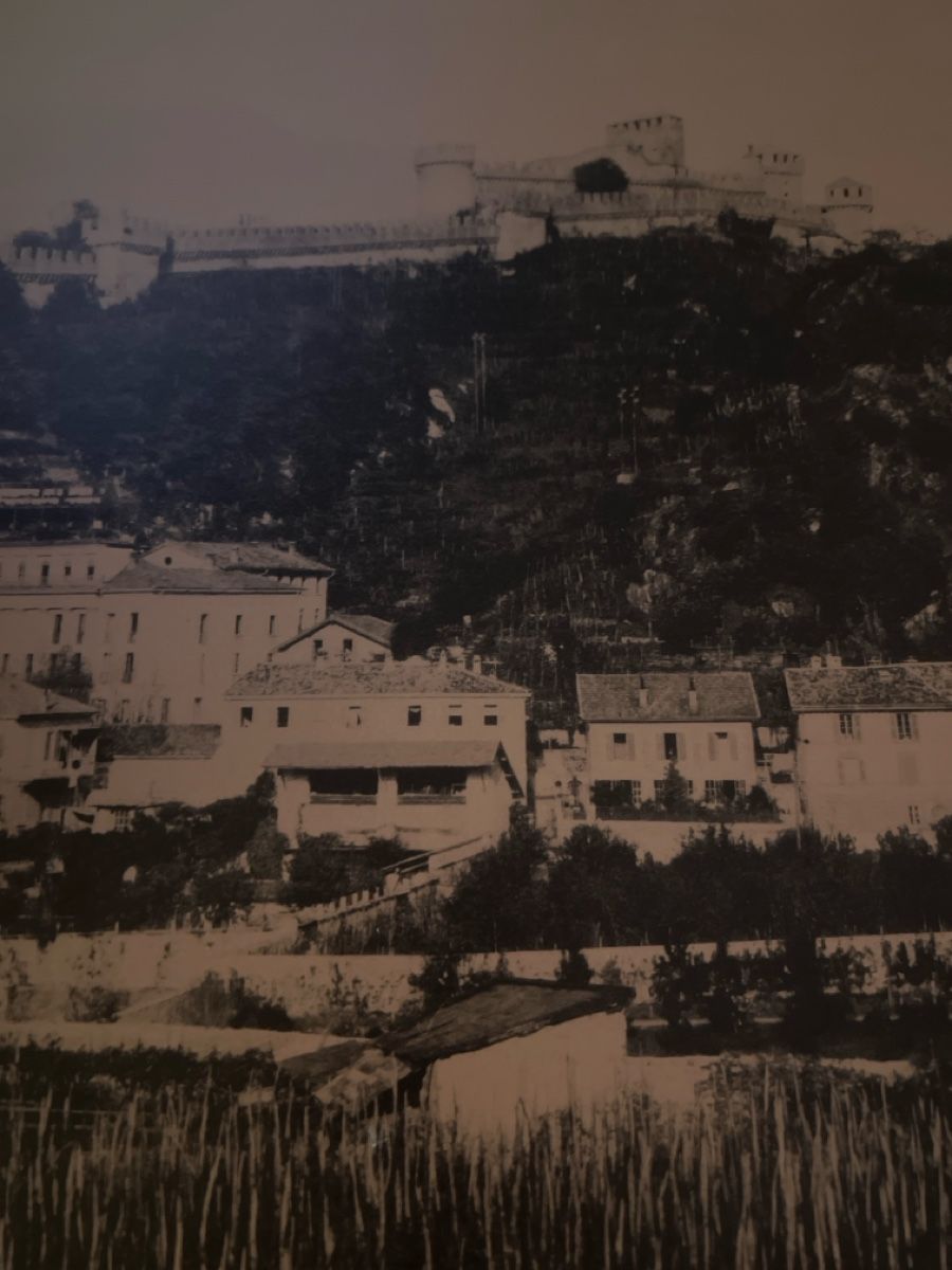 Libri: Cara Bellinzona – Usato da monte carasso venduto da Chanel82 1