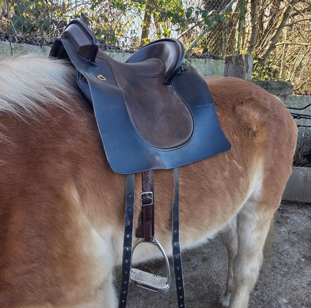 Selle & Accessori: Deuber Sattel Pferd Barock SKL – Usato da Jona venduto da AimeeLou