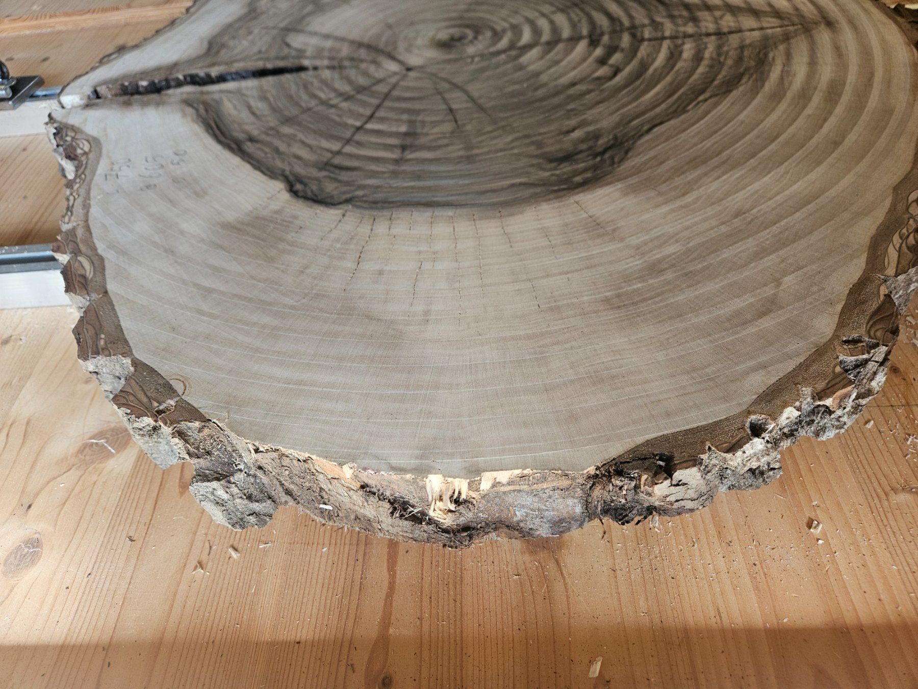 Holzartikel: Nussbaum Holz Baumscheibe – Neu (gemäss Beschreibung) aus Schangnau von egli6.2 1