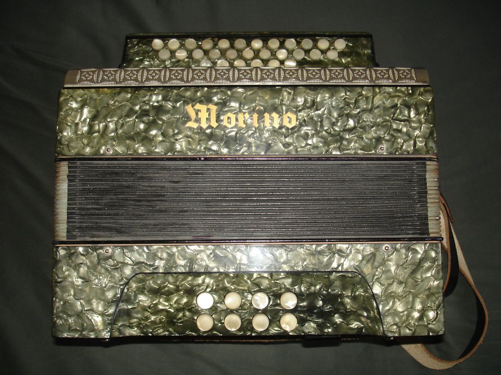 Akkordeon Morino Kaufen auf Ricardo