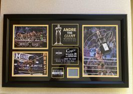 WWE Cesaro Battle Royal Winner Plaque mit Unterschrift!