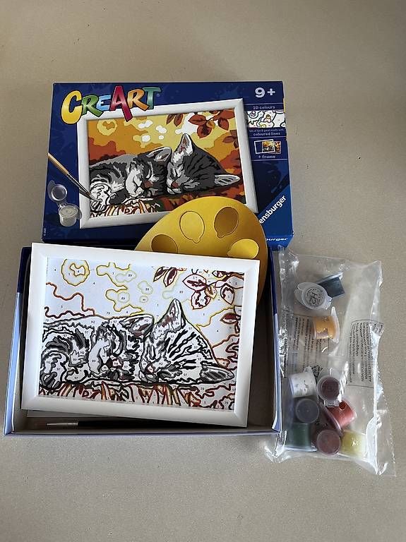 Kit bricolage: Malen nach Zahlen  – Usato da Muri AG venduto da gie_89f5 1