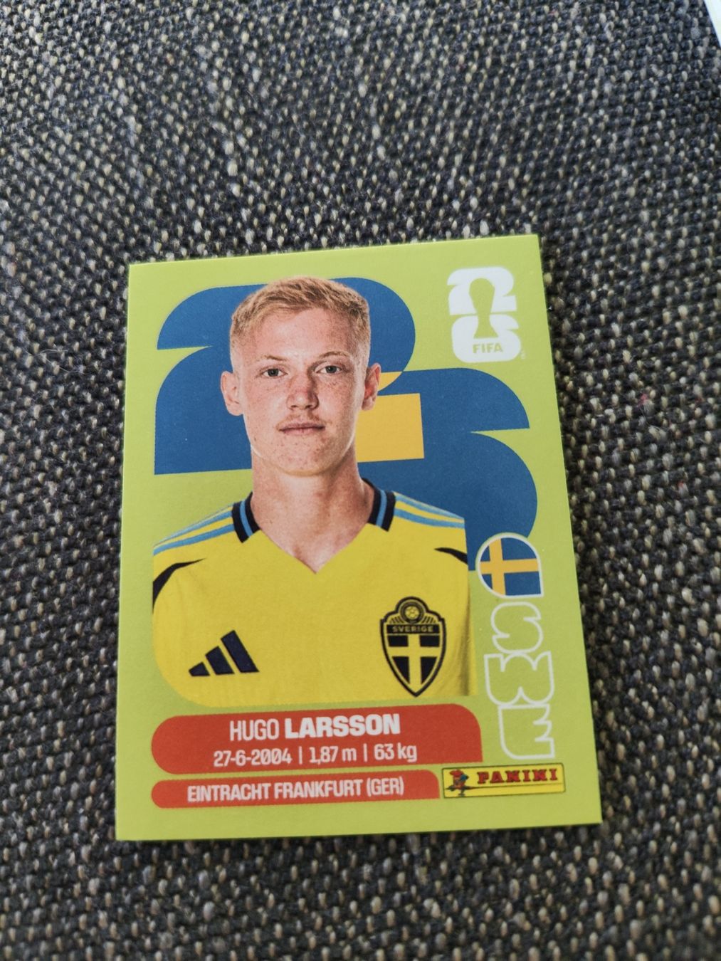 Panini Carte collezionabili: Panini 2026 Wm Swe 9 – Nuovo (secondo la descrizione) da Lieli venduto da Maholo