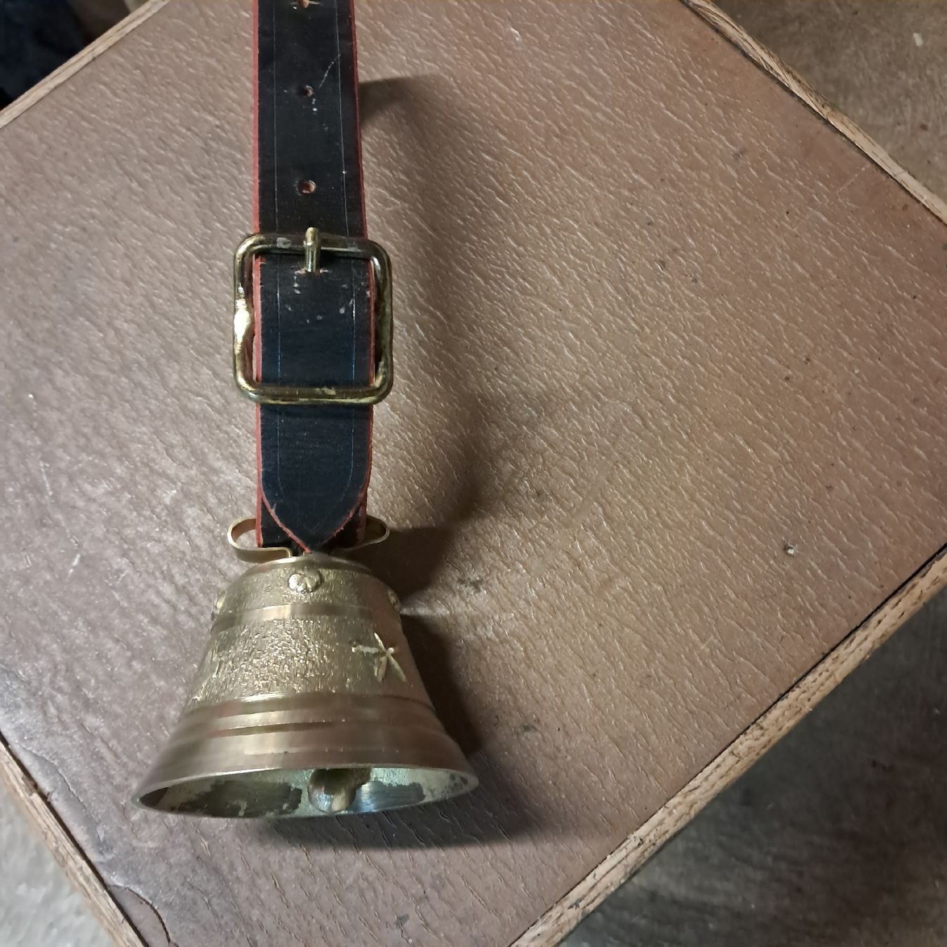 Campanacci mucche: Kleine Schweizer Glocke – Usato da Murten venduto da SHETHOF 1