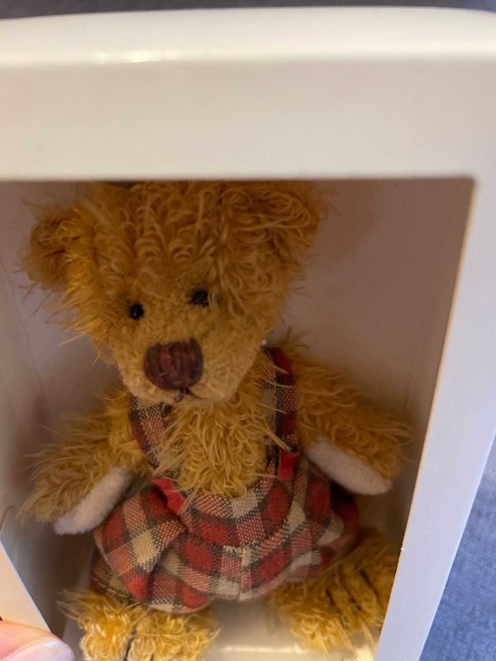 Giocattoli: Miniatur Hermann Teddy in Box – Nuovo (secondo la descrizione) da Küsnacht ZH venduto da Ulla-ZH 3