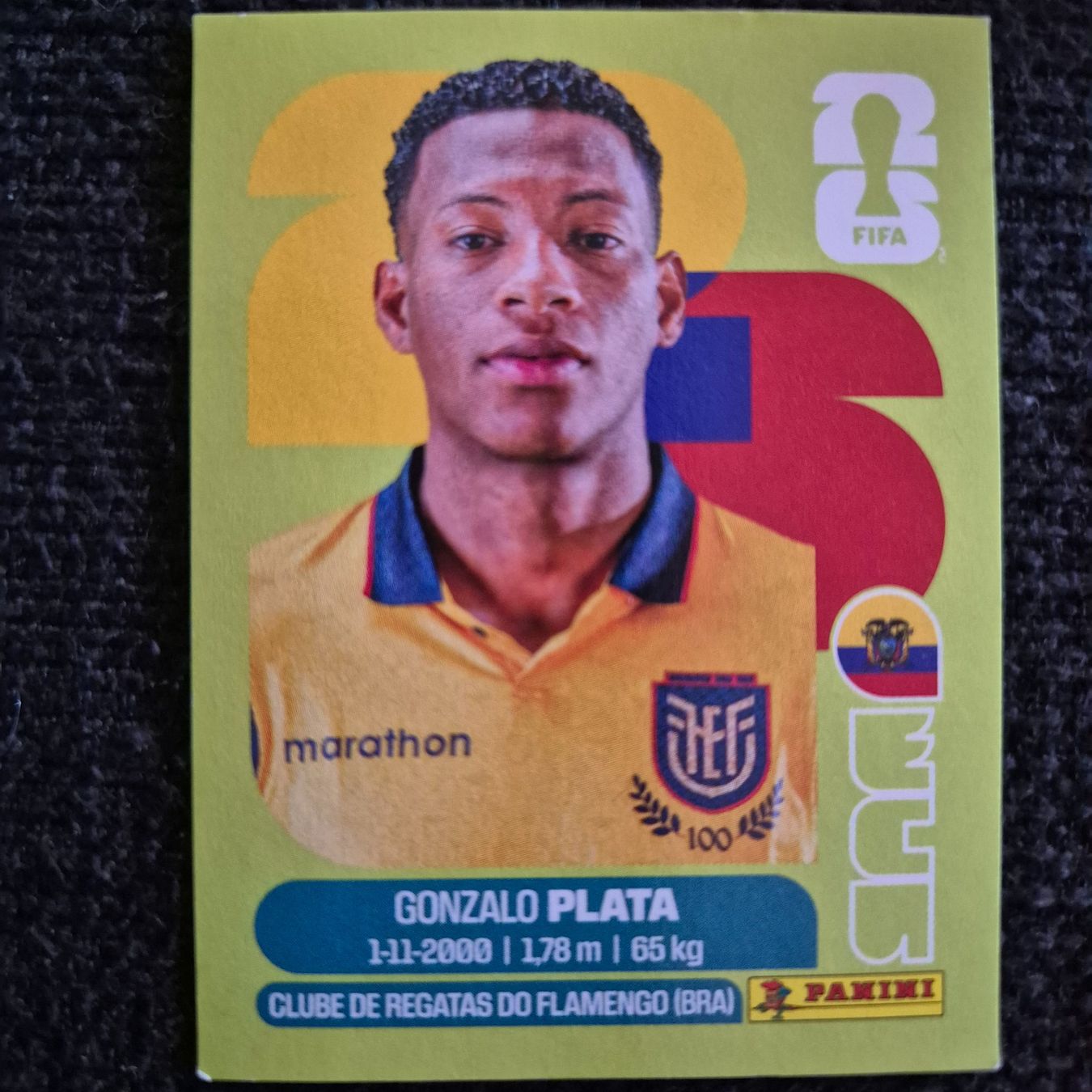 Panini Carte collezionabili: ECU 16 Panini FIFA WM 2026 – Nuovo (secondo la descrizione) da Riehen venduto da tmw_c29m