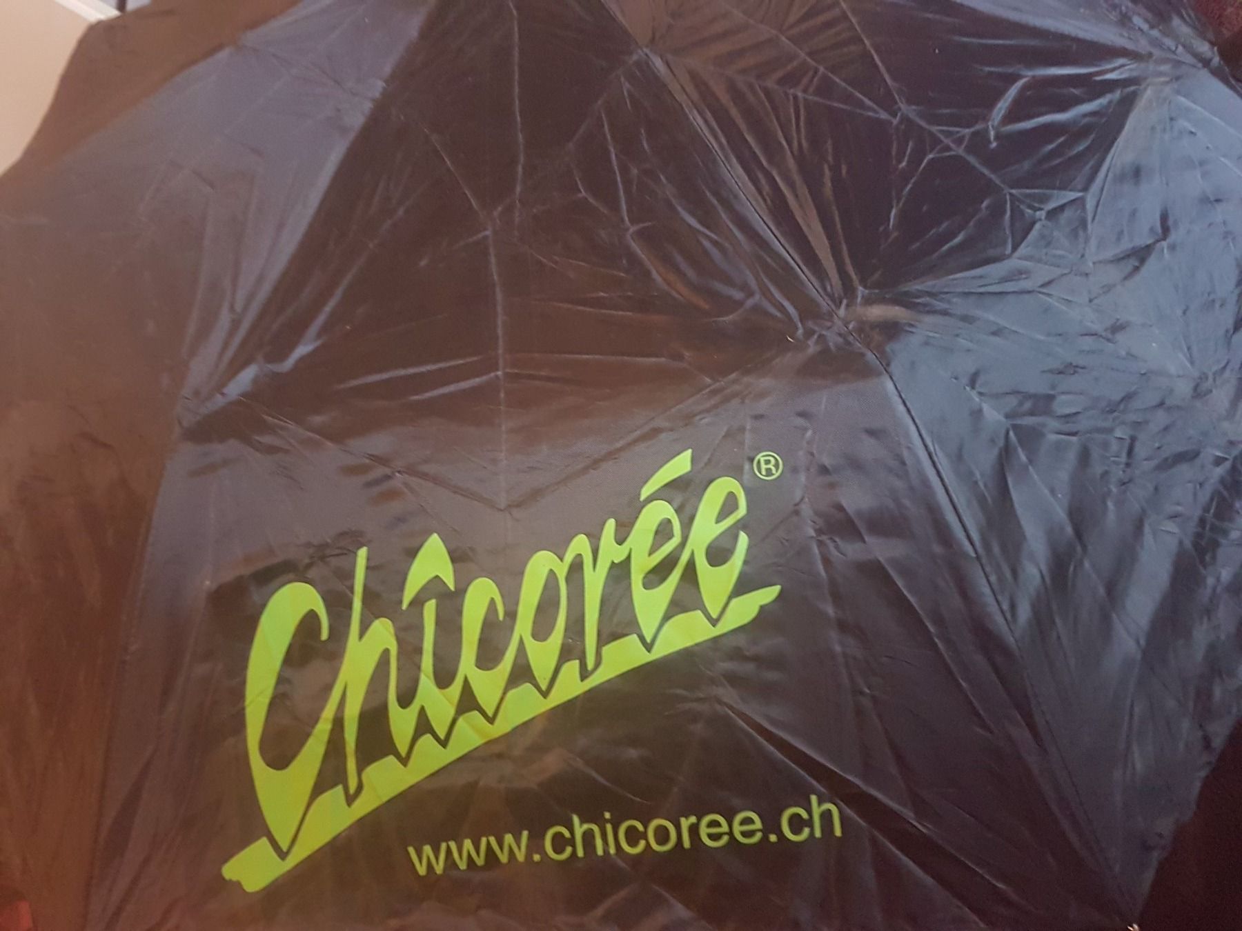 Ombrelli: Parapluie pliable avec sa housse marque Chicorée – Usato da Villiers venduto da san_jn5w 2