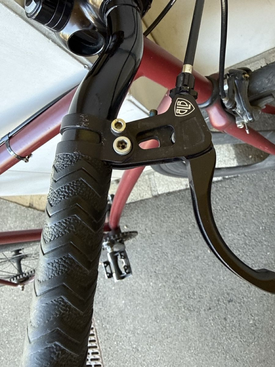 Biciclette: Gorilla Single Speed Bicycle (Schlumpf gear shift) – Usato da Zürich venduto da flo_2wkz 2