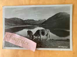1940 am Ägerisee