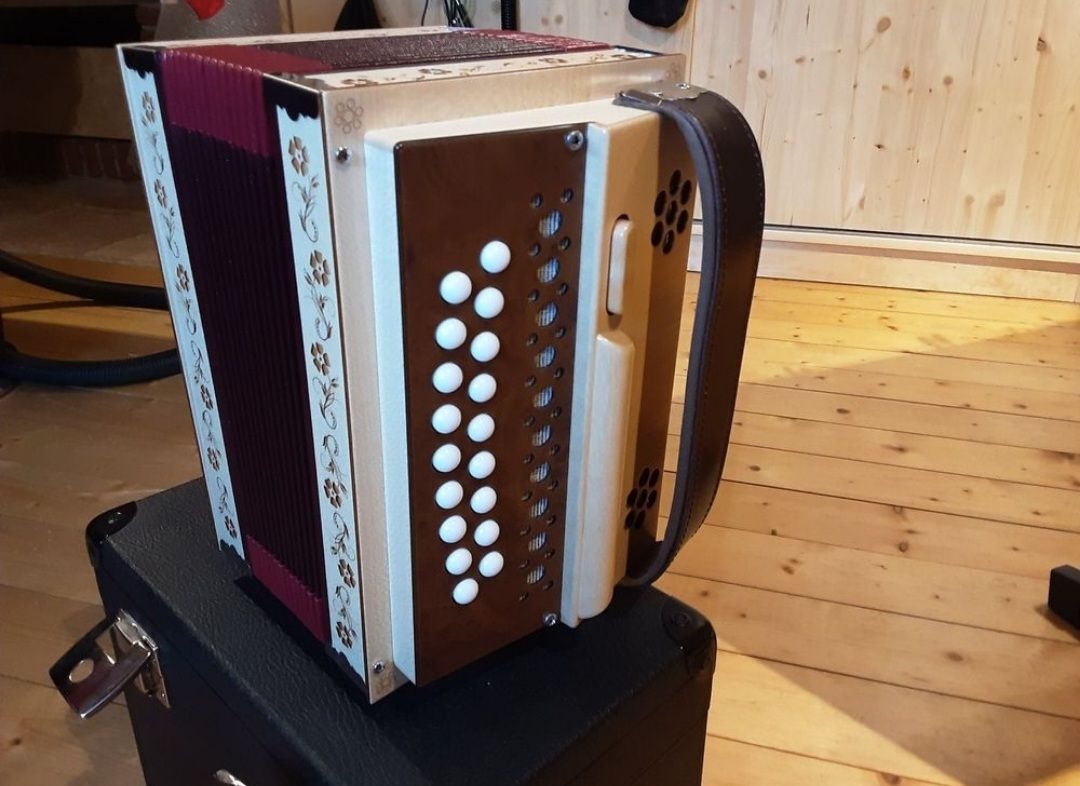 Ott Oergeli Strumenti musicali: Schwyzerörgeli Ott – Usato da Weier im Emmental venduto da tamarabichsel 1