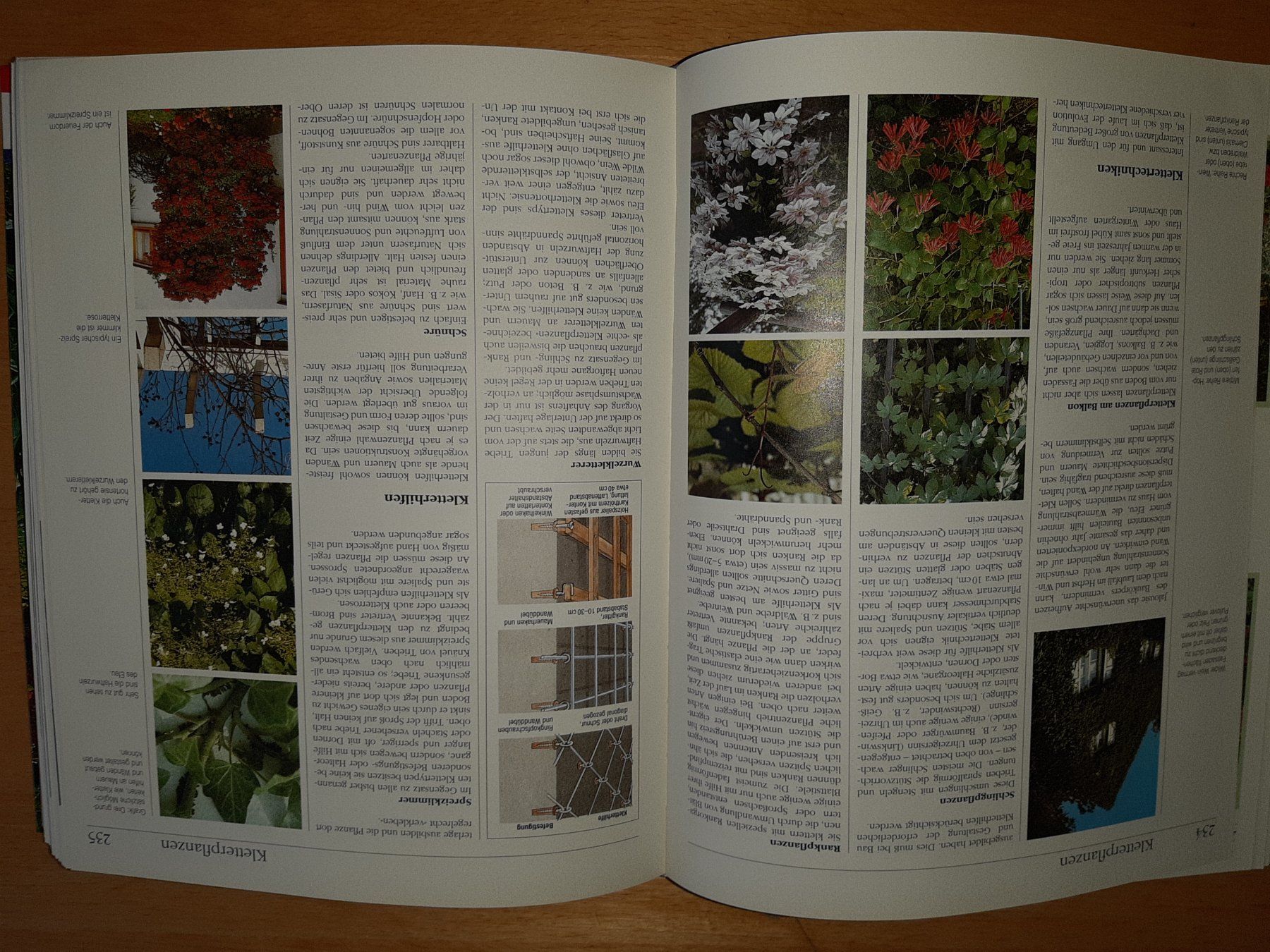 Libri: Handbuch Garten: Umfassendes Nachschlagewerk – Usato da Rotkreuz venduto da nigal 7