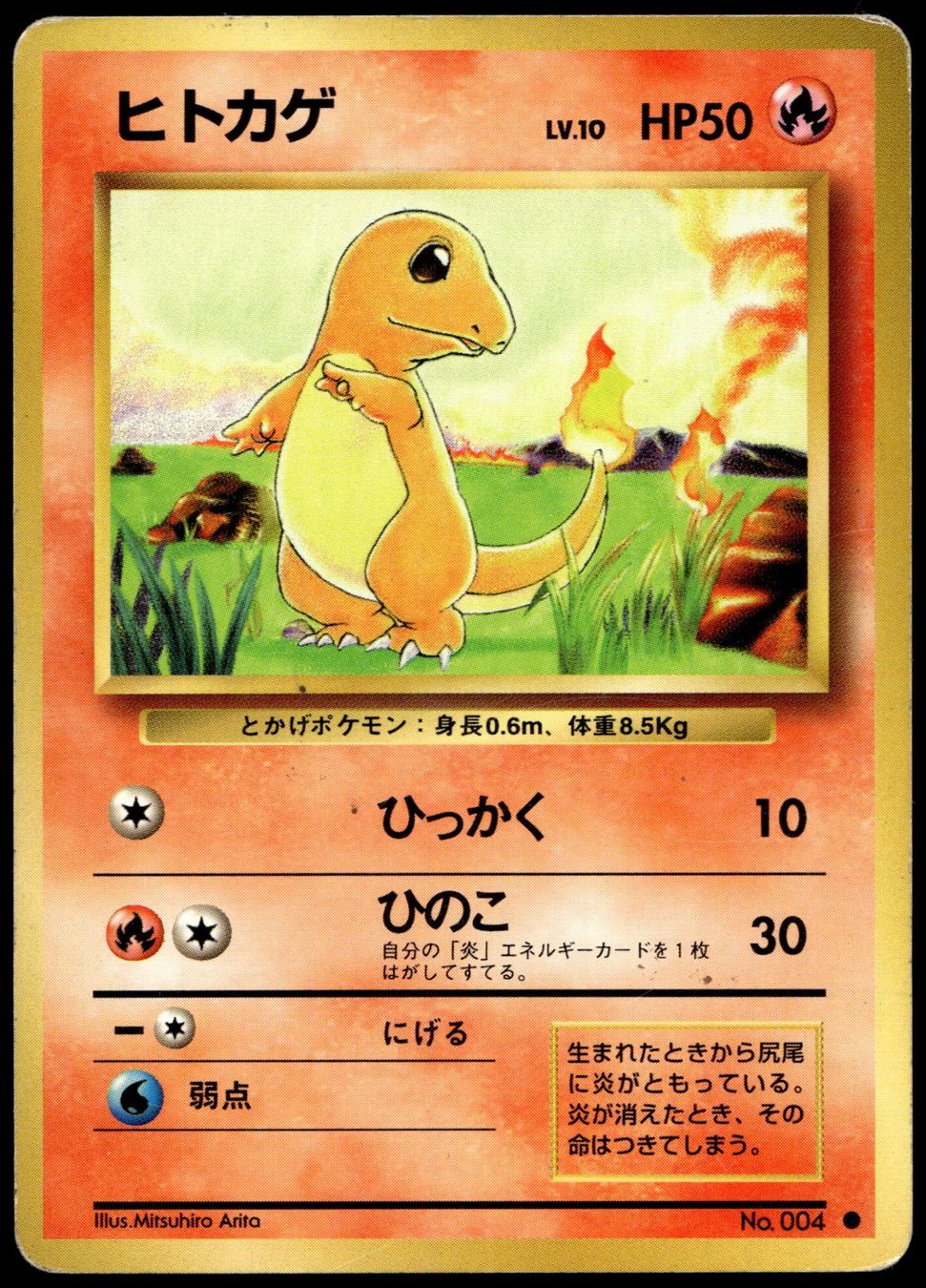 Pokémon Carte collezionabili: Pokémon Base Set 1996 Charizard - Starter inkl .Entwicklung – Usato da Derendingen venduto da farfetchdch 5