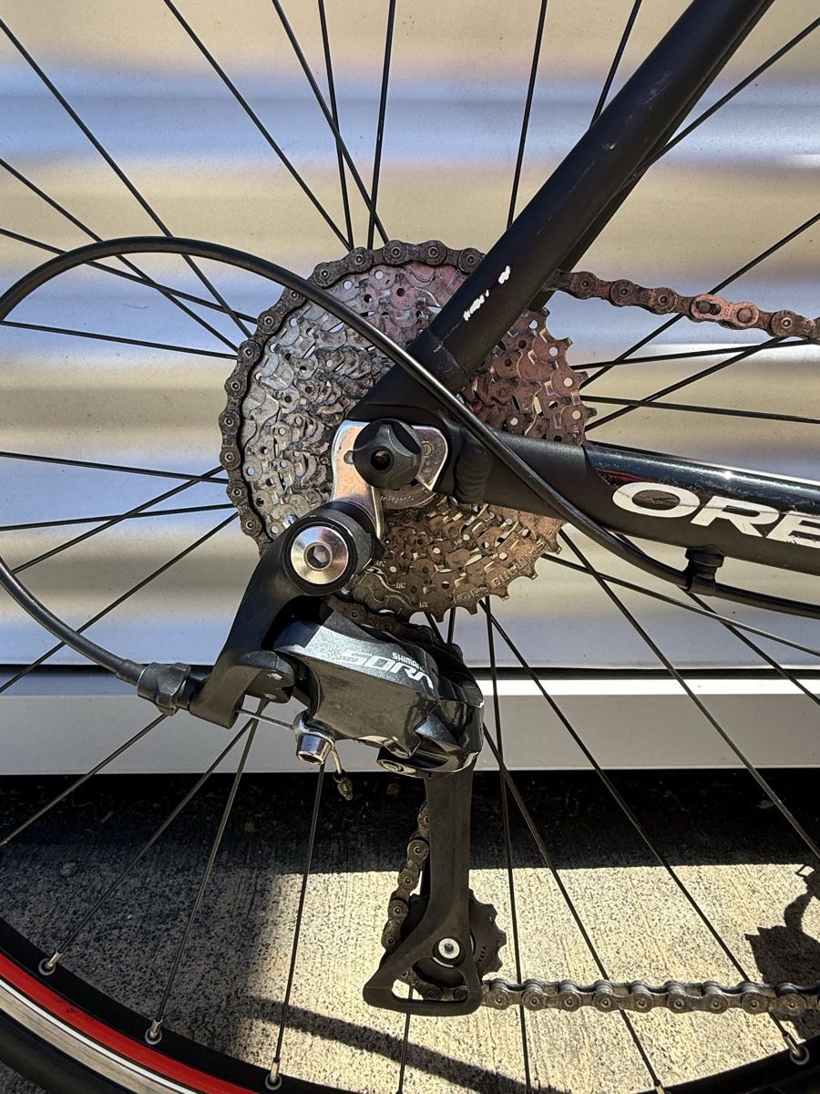 Orbea Biciclette: Orbea Rennrad Grösse 57, Shimano Sora – Usato da Alchenflüh venduto da Steal1 5